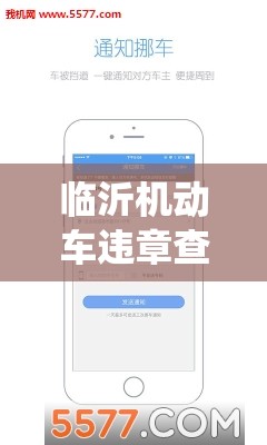 临沂机动车违章查询/临沂机动车违章查询系统