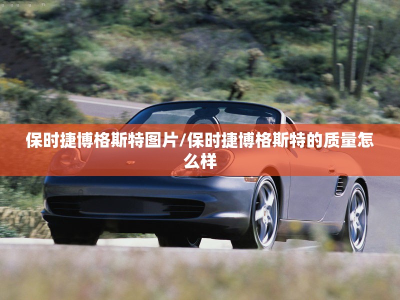 保时捷博格斯特图片/保时捷博格斯特的质量怎么样 保时捷博格斯特图片/保时捷博格斯特的质量怎么样