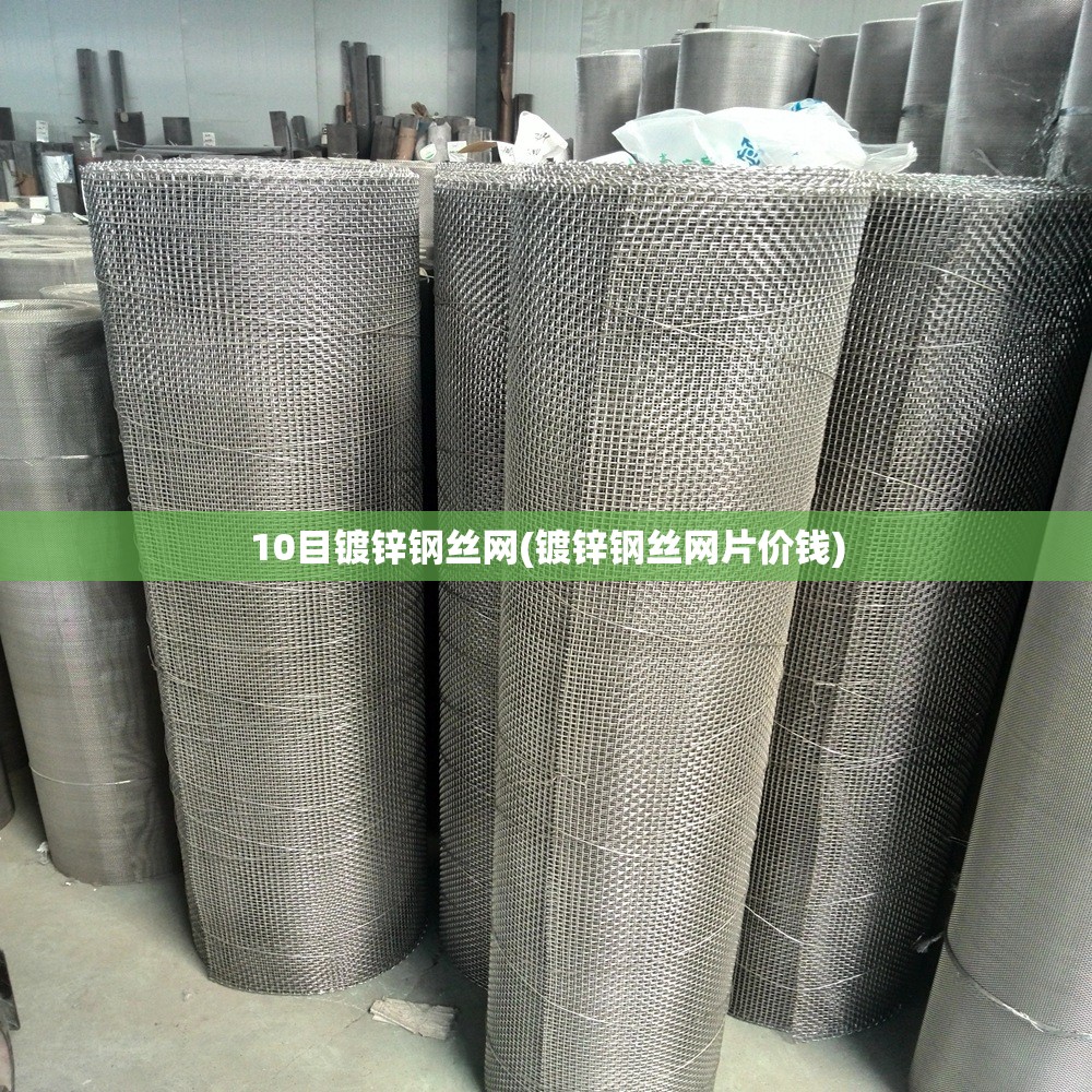 10目镀锌钢丝网(镀锌钢丝网片价钱) 10目镀锌钢丝网(镀锌钢丝网片价钱)