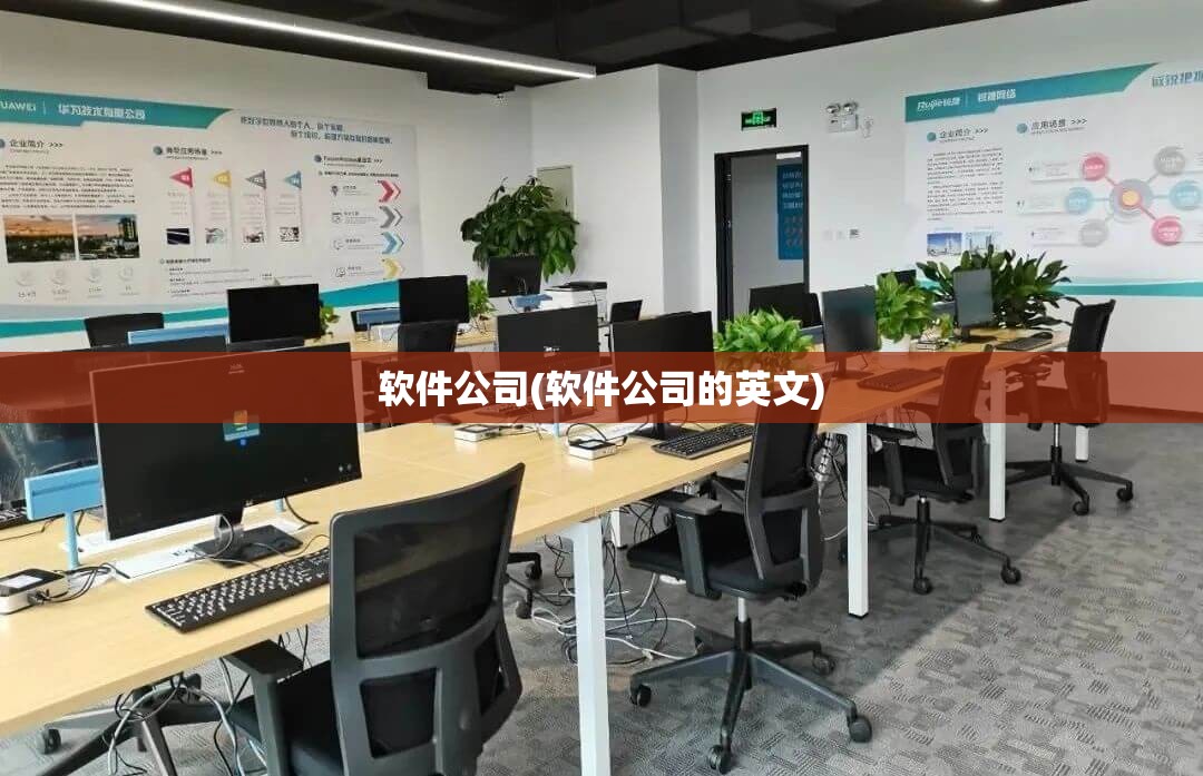 软件公司(软件公司的英文)