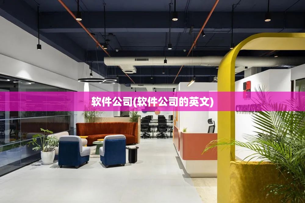 软件公司(软件公司的英文)