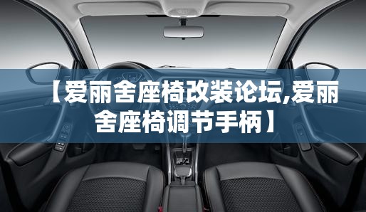 【爱丽舍座椅改装论坛,爱丽舍座椅调节手柄】
