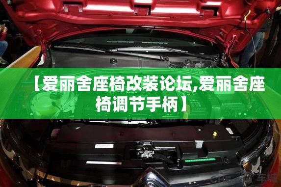【爱丽舍座椅改装论坛,爱丽舍座椅调节手柄】