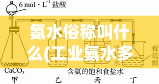 氨水俗称叫什么(工业氨水多少钱一吨)