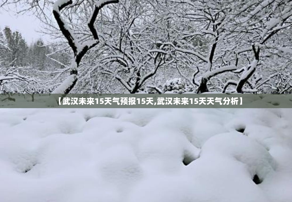 【武汉未来15天气预报15天,武汉未来15天天气分析】