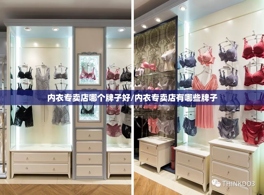 内衣专卖店哪个牌子好/内衣专卖店有哪些牌子