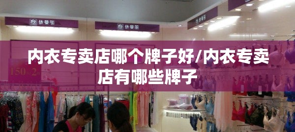 内衣专卖店哪个牌子好/内衣专卖店有哪些牌子