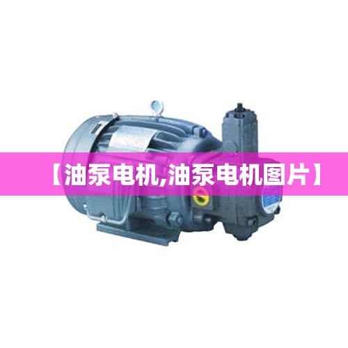 【油泵电机,油泵电机图片】