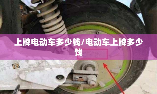 上牌电动车多少钱/电动车上牌多少饯