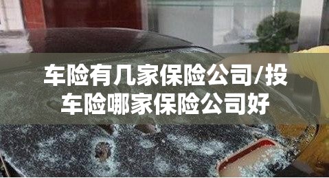 车险有几家保险公司/投车险哪家保险公司好