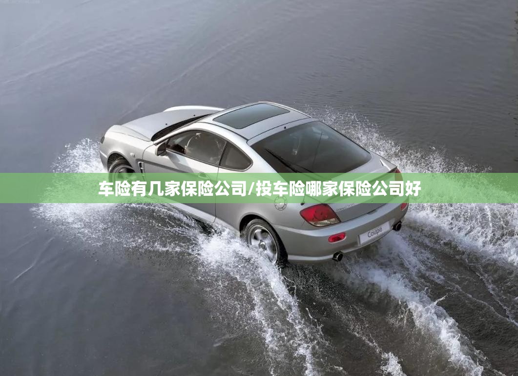 车险有几家保险公司/投车险哪家保险公司好