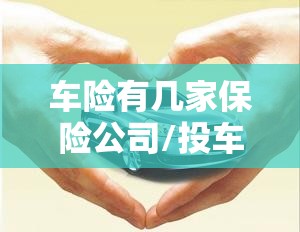 车险有几家保险公司/投车险哪家保险公司好