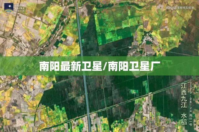南阳最新卫星/南阳卫星厂