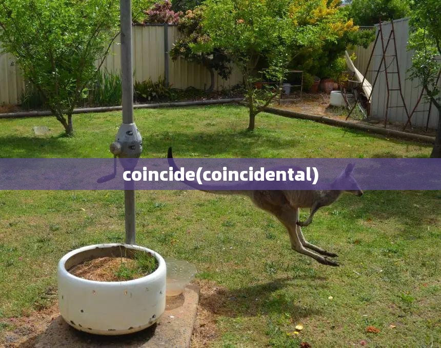 coincide(coincidental)
