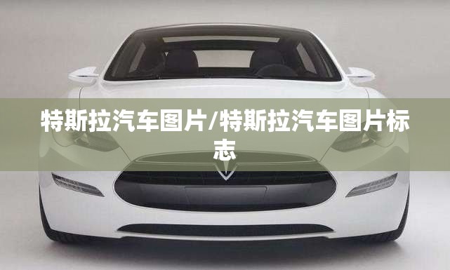 特斯拉汽车图片/特斯拉汽车图片标志 特斯拉汽车图片/特斯拉汽车图片标志