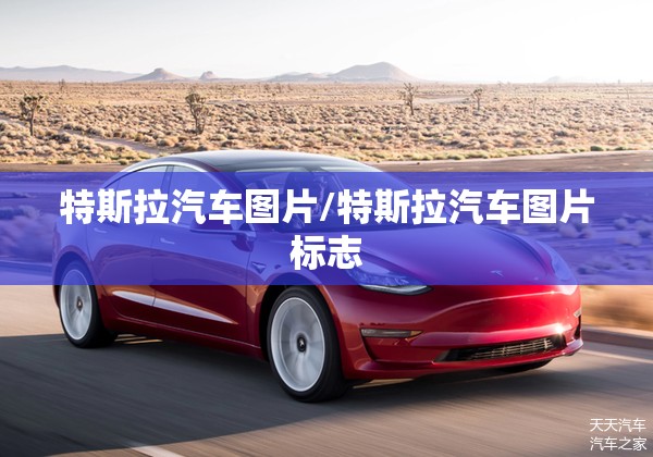 特斯拉汽车图片/特斯拉汽车图片标志 特斯拉汽车图片/特斯拉汽车图片标志