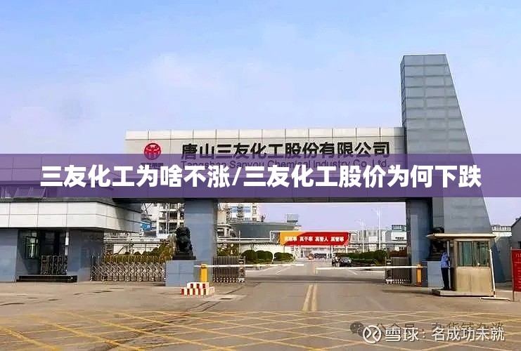 三友化工为啥不涨/三友化工股价为何下跌