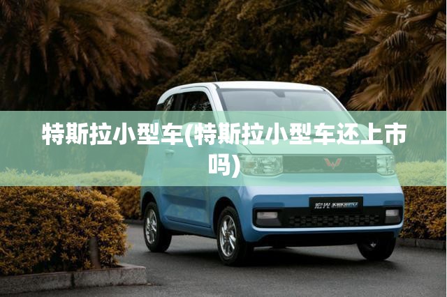特斯拉小型车(特斯拉小型车还上市吗)