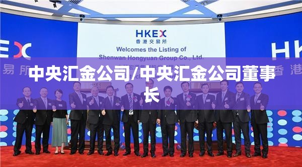 中央汇金公司/中央汇金公司董事长