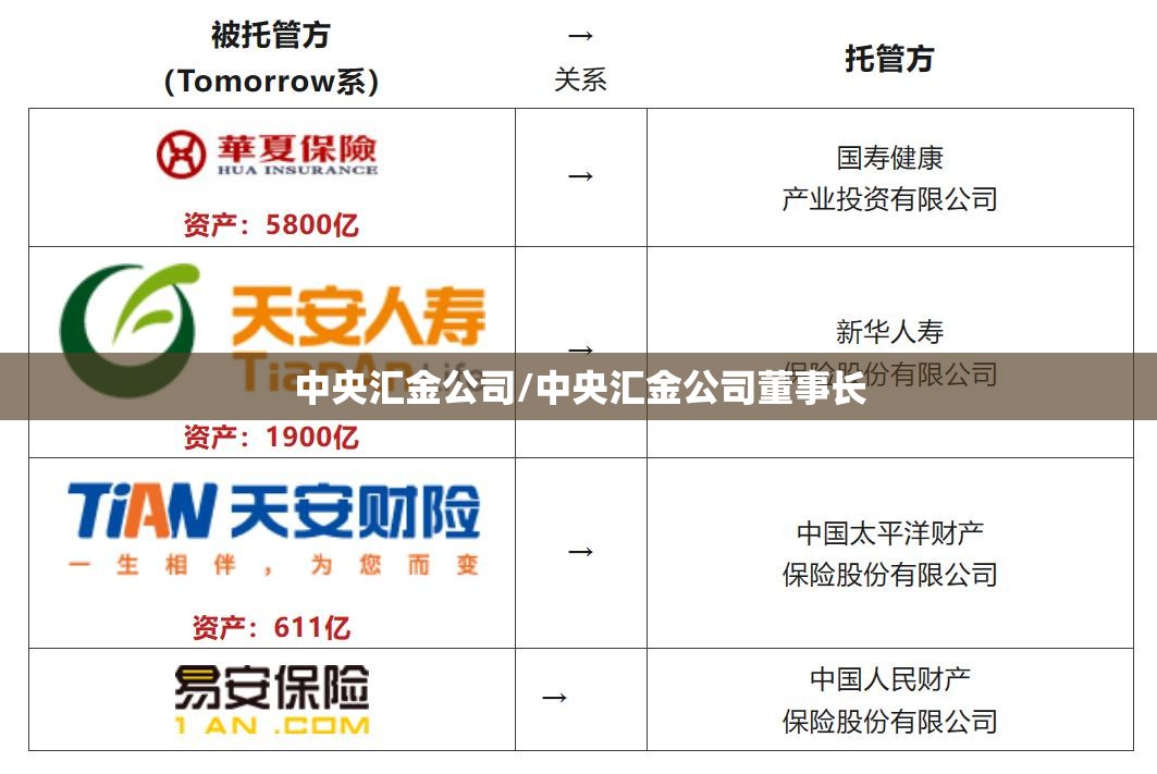 中央汇金公司/中央汇金公司董事长